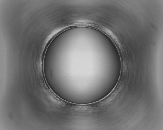 X0000112821336200908210952