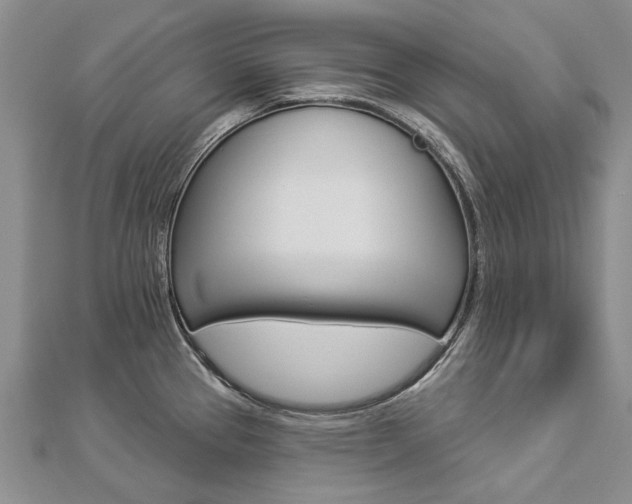 X0000112821337200908210952