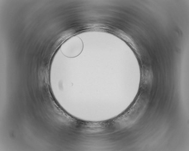 X0000112821338200908210952