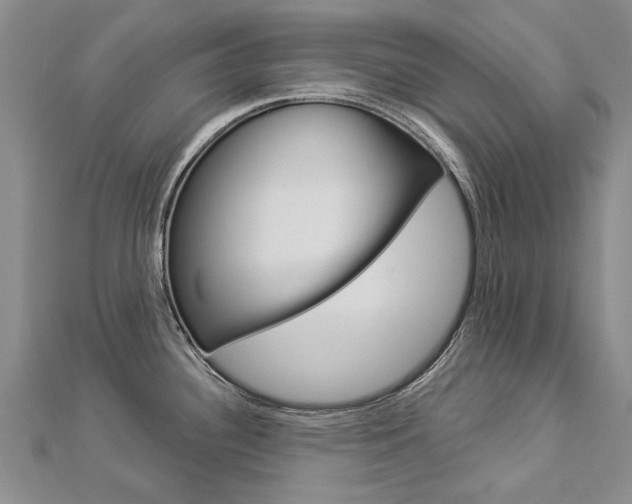 X0000112821340200908210952