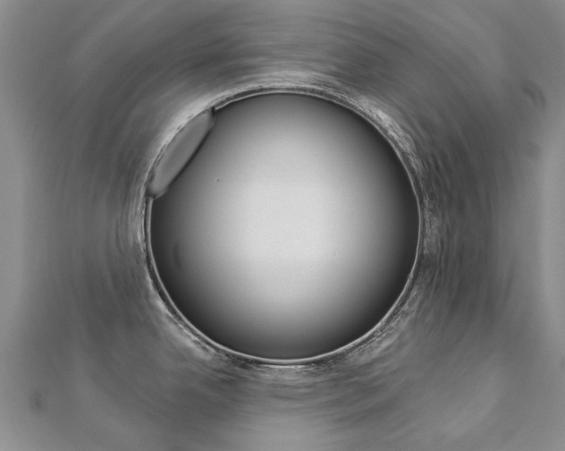 X0000112821342200908210952