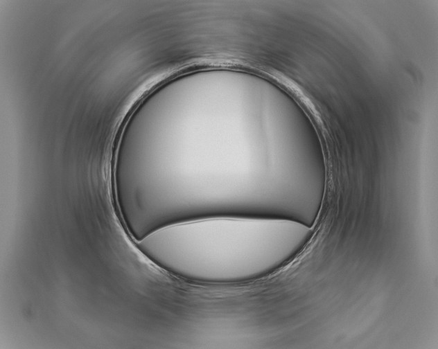 X0000112821343200908210952