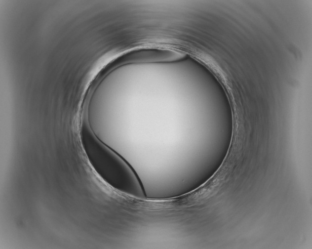X0000112821344200908210952
