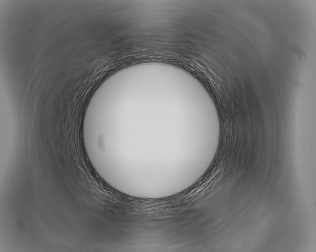 X0000112821345200908210951