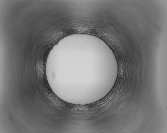X0000112821346200908210951