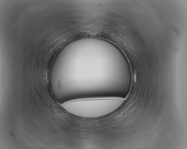 X0000112821347200908210951