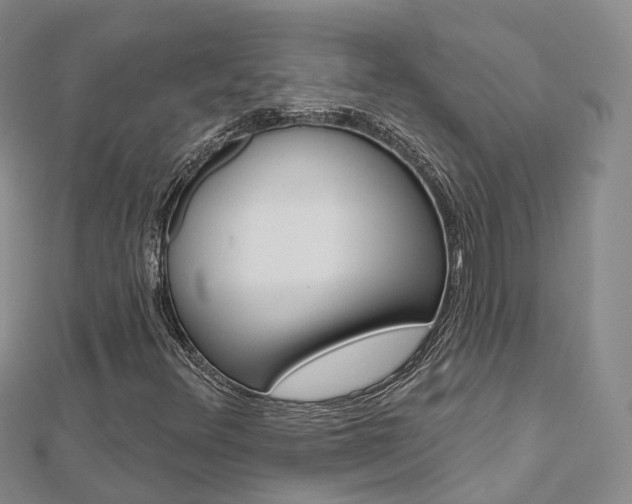 X0000112821348200908210951