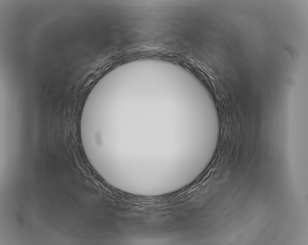 X0000112821349200908210951