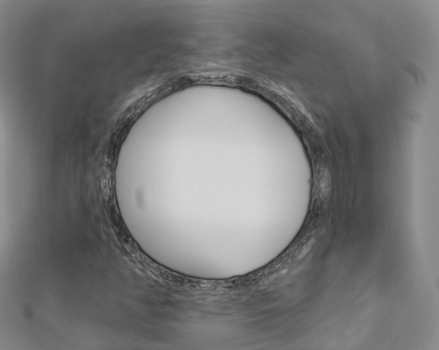 X0000112821350200908210951
