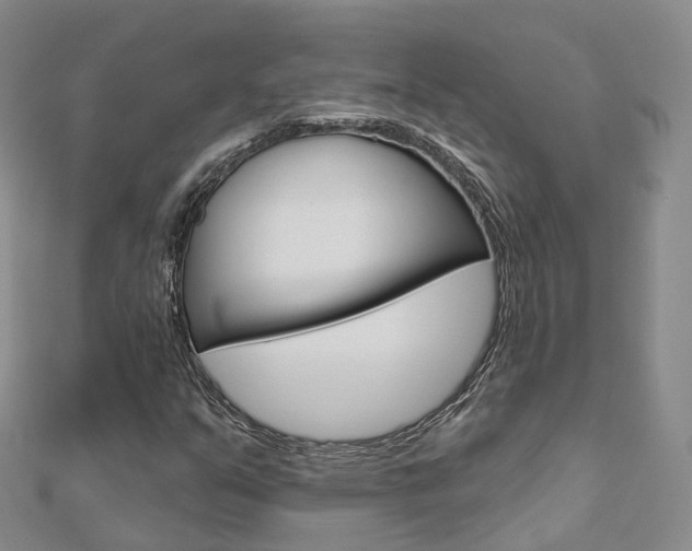 X0000112821351200908210951