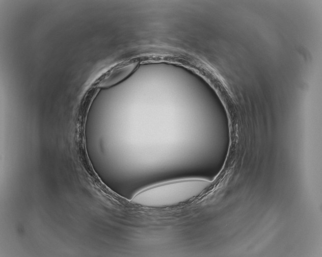 X0000112821352200908210951