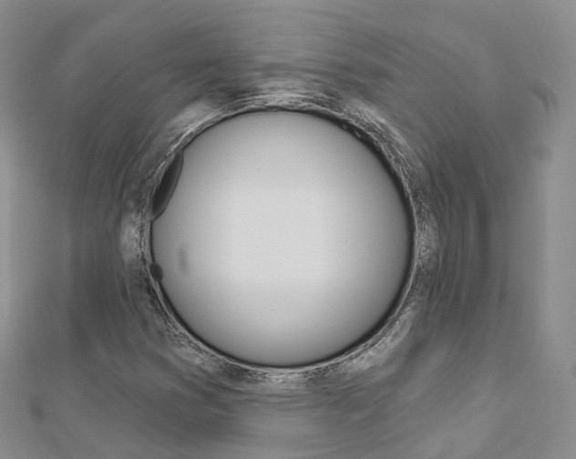 X0000112821353200908210951