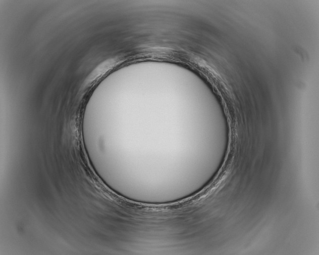 X0000112821354200908210951