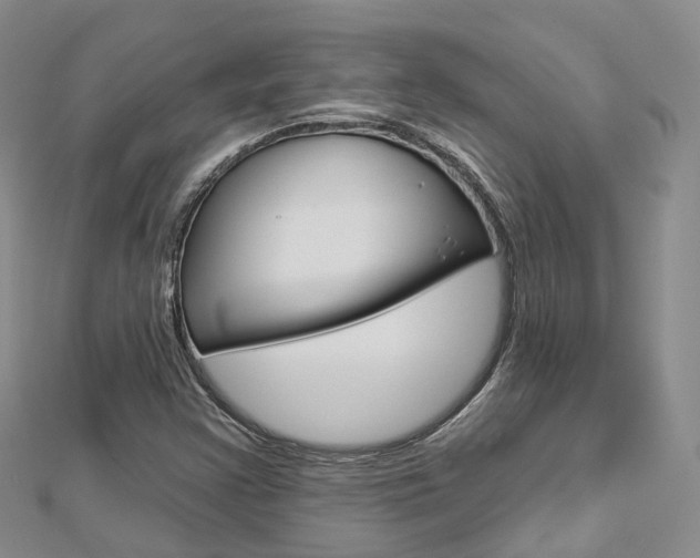 X0000112821355200908210951