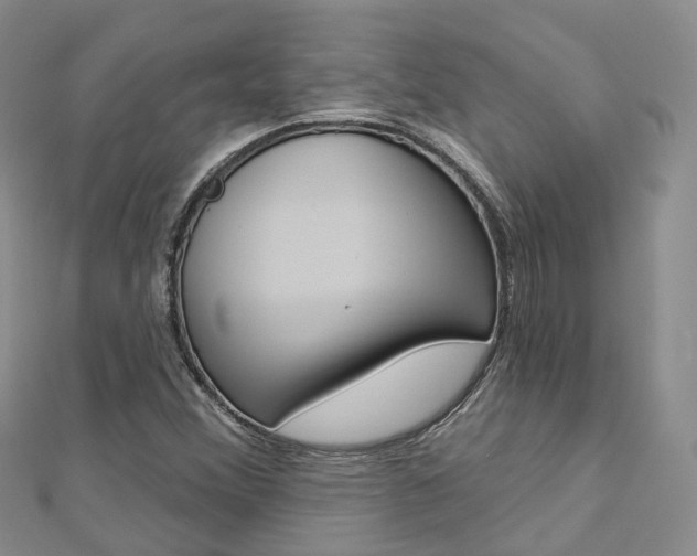 X0000112821356200908210951