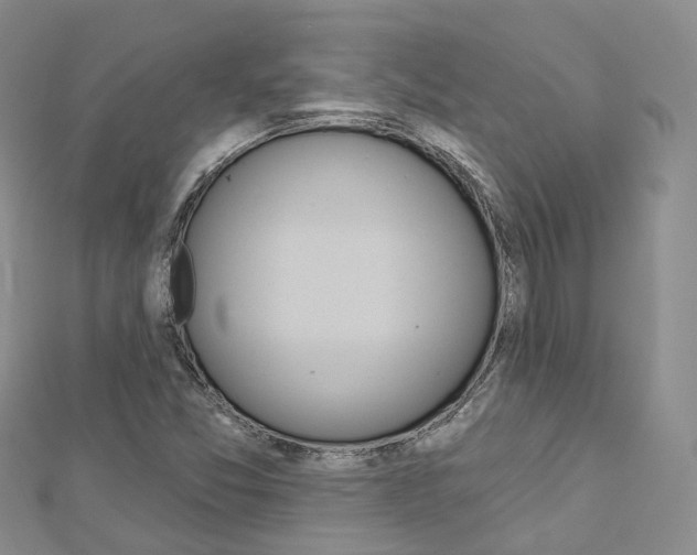 X0000112821357200908210951