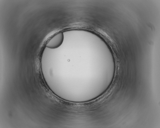 X0000112821358200908210951