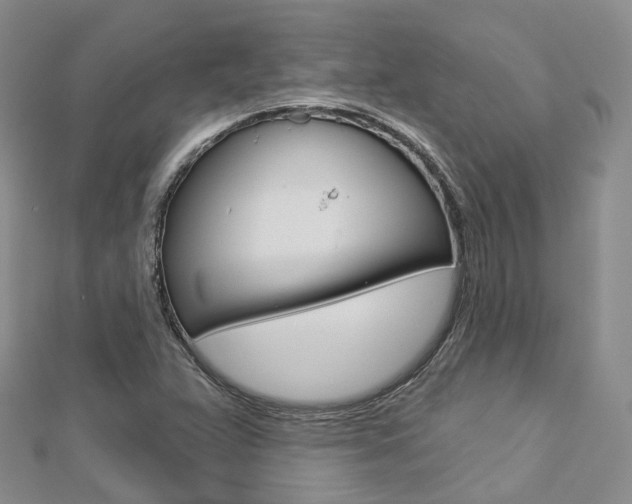 X0000112821359200908210951