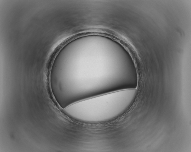 X0000112821360200908210951