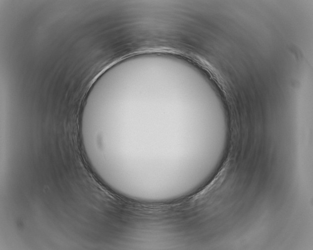 X0000112821361200908210951