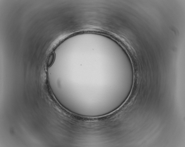 X0000112821363200908210951