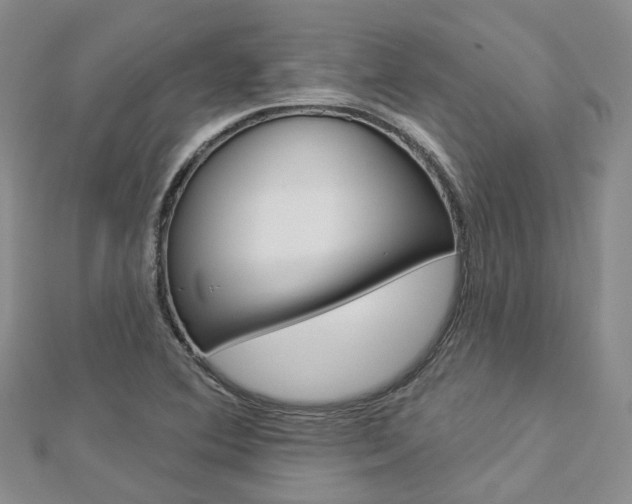 X0000112821364200908210951