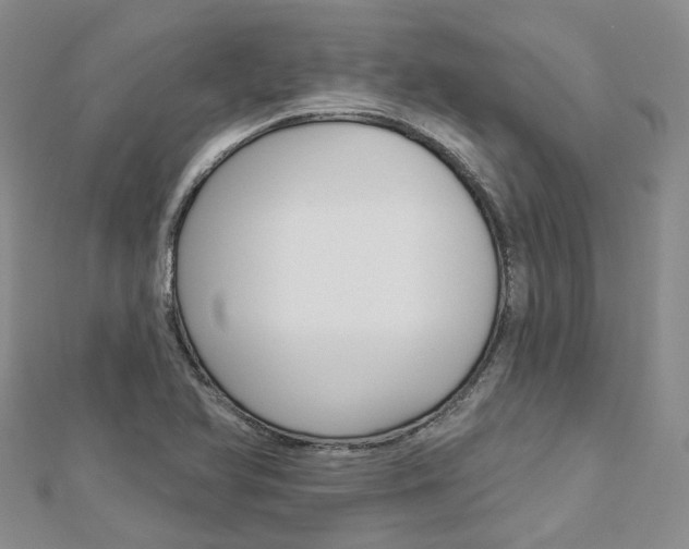 X0000112821366200908210951