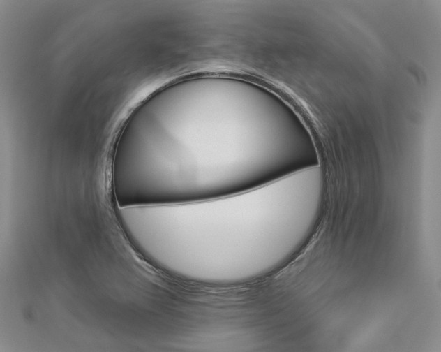 X0000112821367200908210951