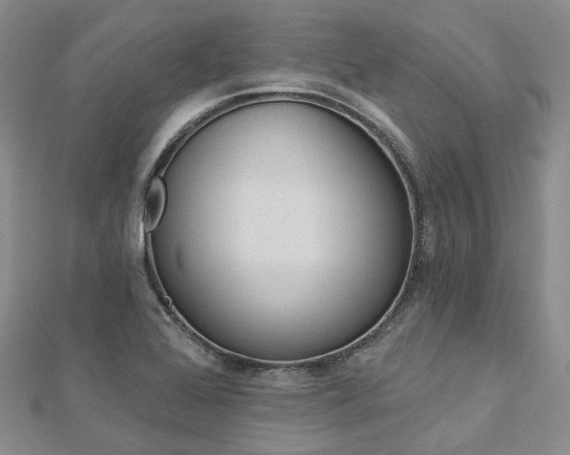 X0000112821368200908210951
