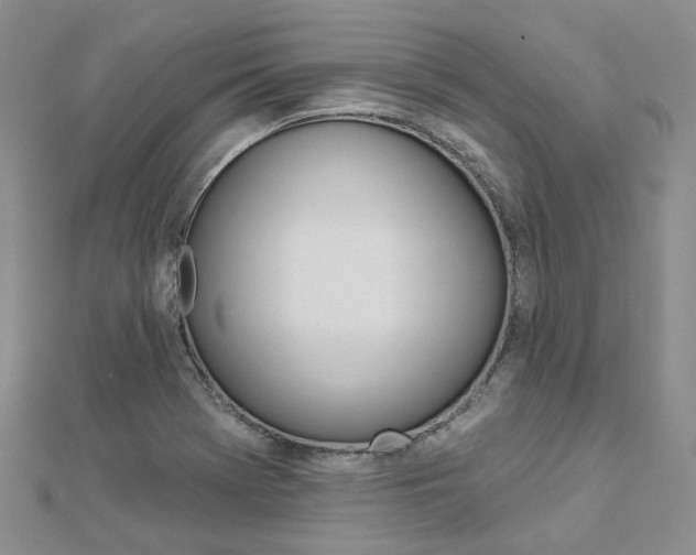 X0000112821369200908210951