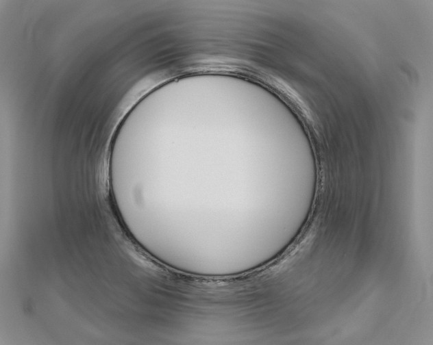 X0000112821370200908210951
