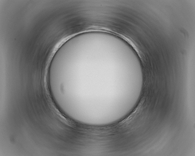 X0000112821371200908210951