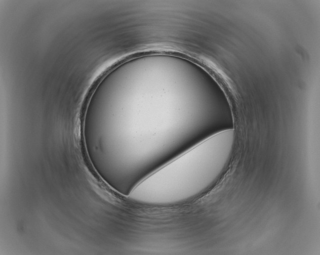 X0000112821372200908210951