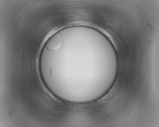 X0000112821373200908210951