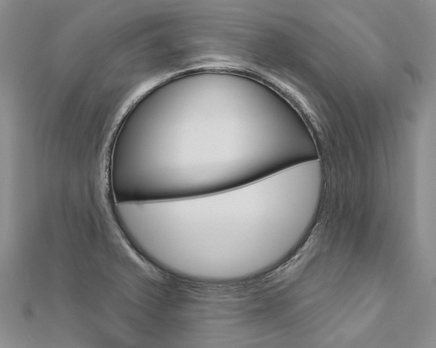 X0000112821375200908210951