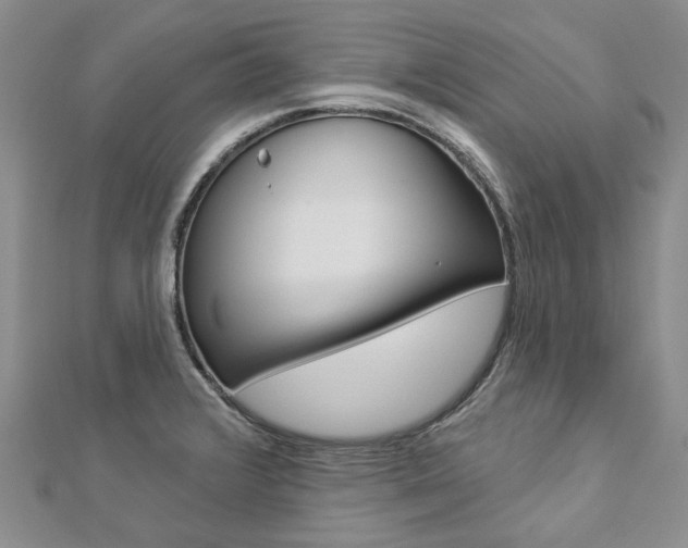 X0000112821376200908210951