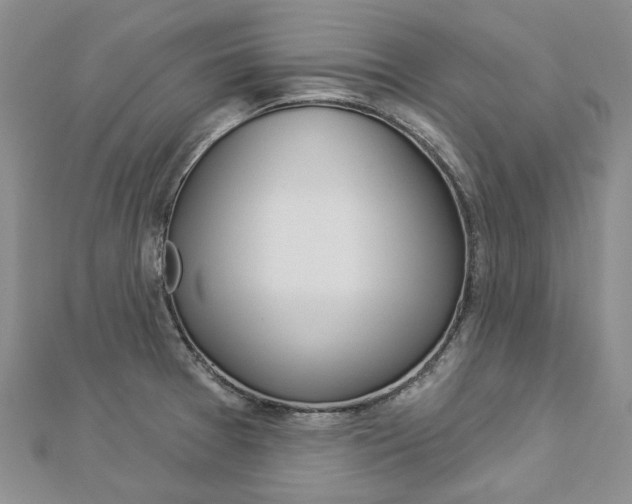 X0000112821377200908210951