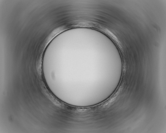 X0000112821378200908210951