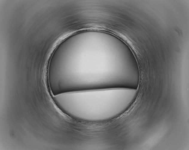 X0000112821379200908210951