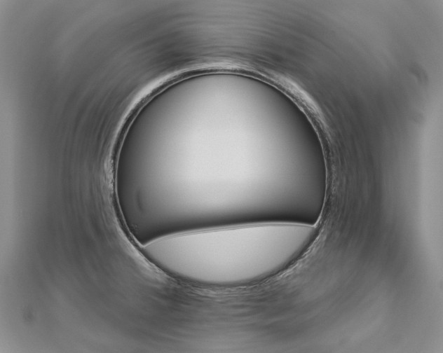 X0000112821380200908210951