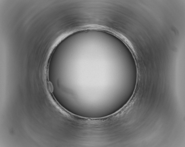 X0000112821381200908210951