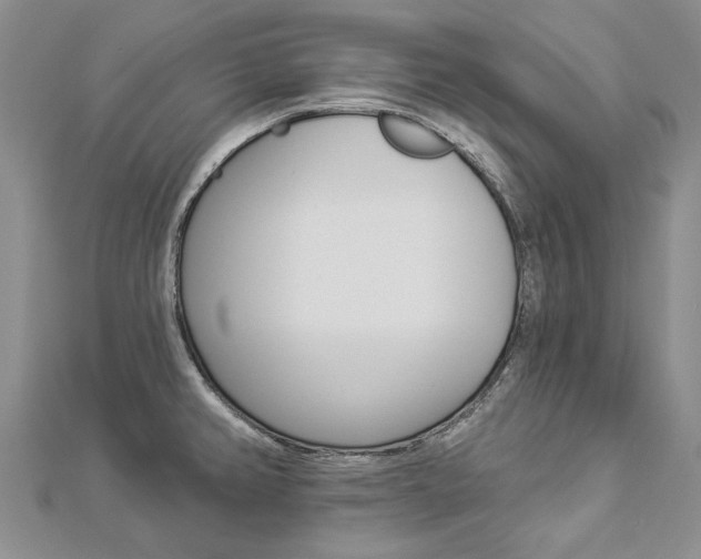 X0000112821382200908210951
