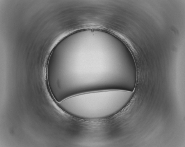 X0000112821383200908210951