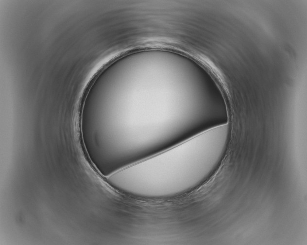 X0000112821384200908210951