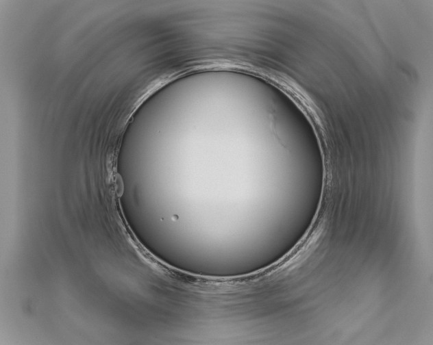X0000112821385200908210951