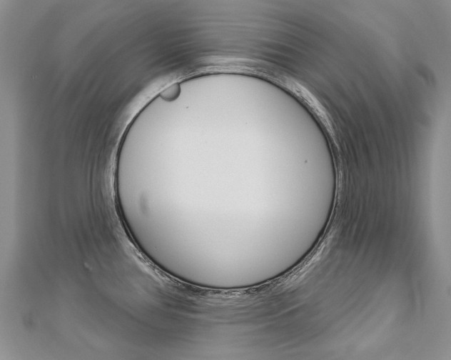 X0000112821386200908210951