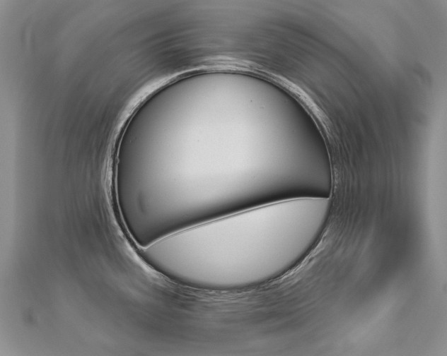 X0000112821387200908210951