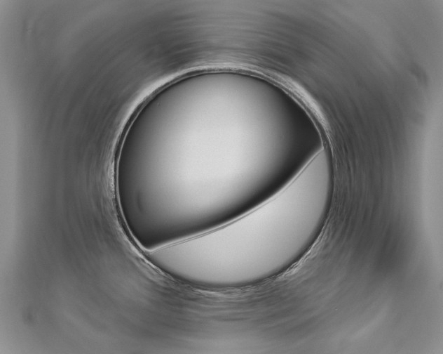 X0000112821388200908210951