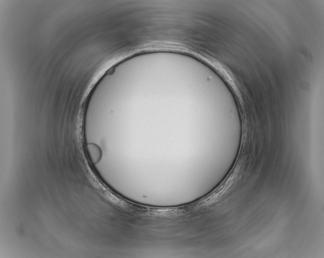 X0000112821390200908210951