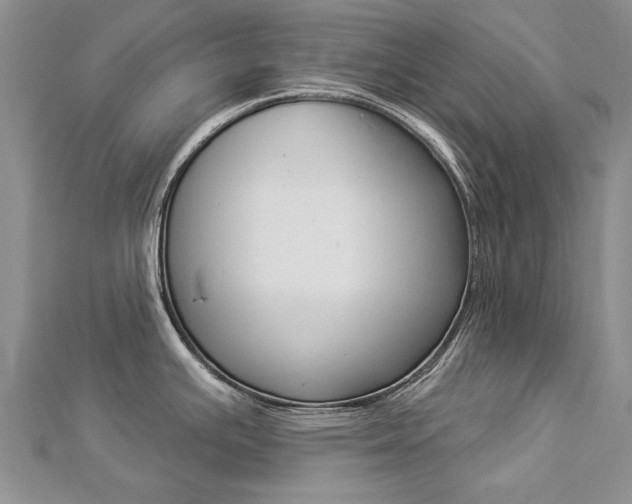 X0000112821391200908210951